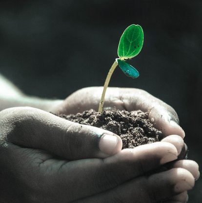 hands holding soil and small plant