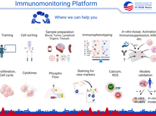 Illustration of Applications and support provided by the immunomonitoring platform.