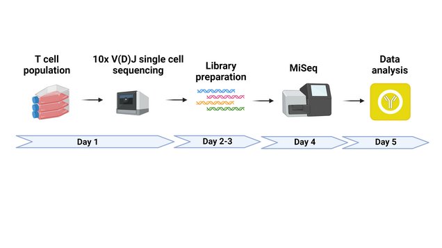 Illustration of 10x Sequencing method